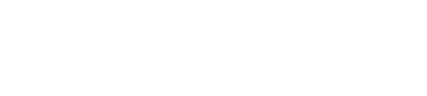 My Life In Care Survey